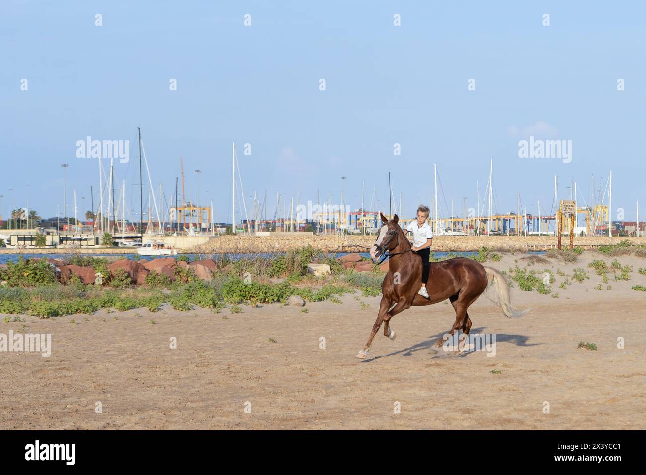 Pinedo (Valencia), Espagne - 17 septembre 2022 : un garçon blond chevauchant un grand cheval brun nu sur le sable de la plage de Pinedo, Valence, avec la cr Banque D'Images