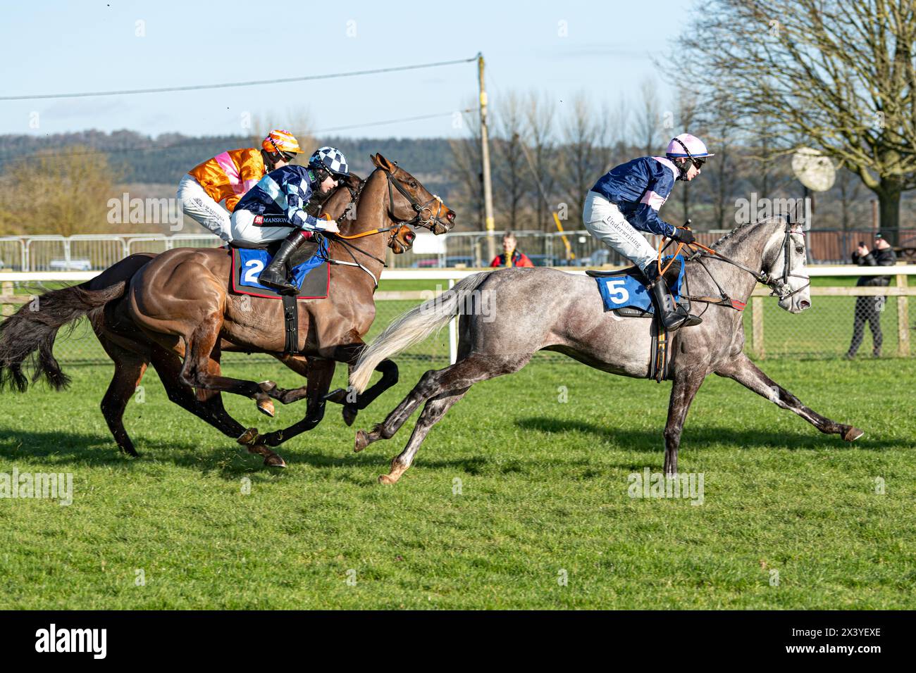 Course de haies de Wincanton, jeudi 20 janvier 2022 Banque D'Images