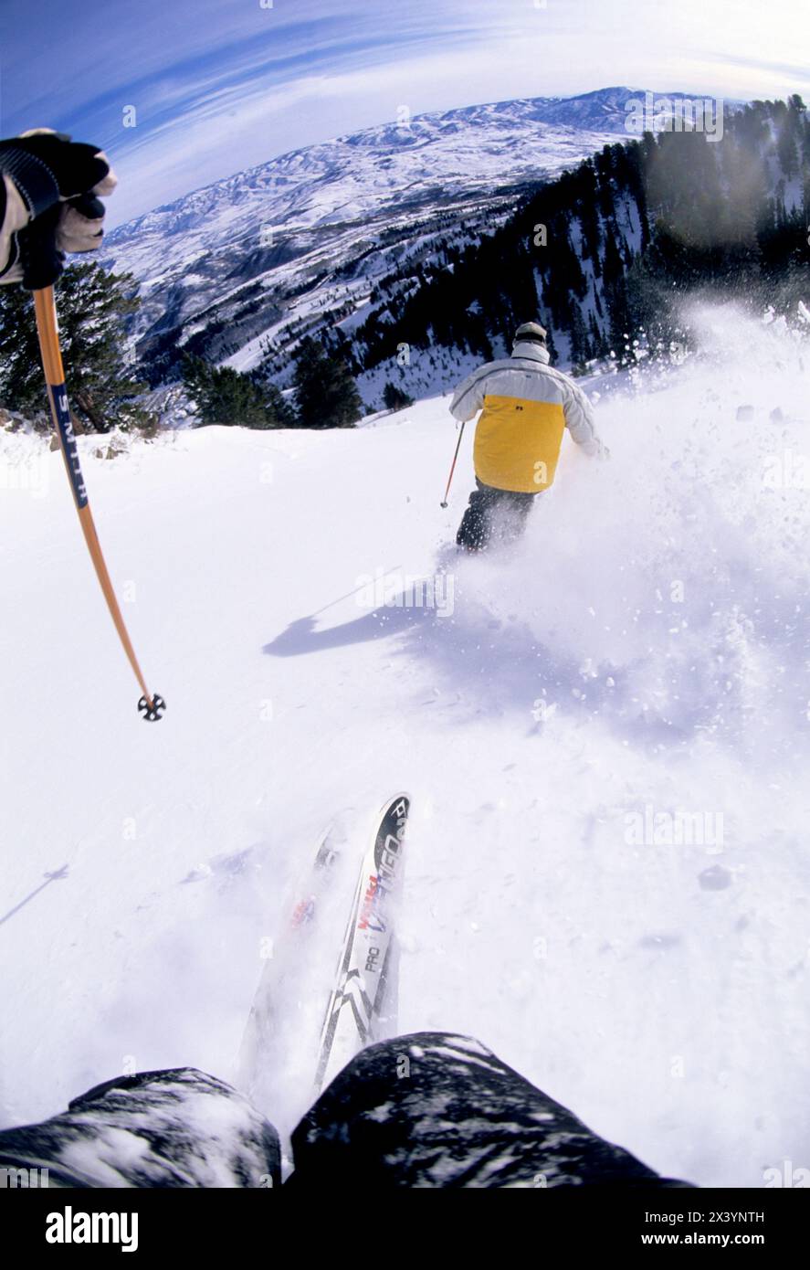 Ski poudreuse à Snowasin, Utah Banque D'Images