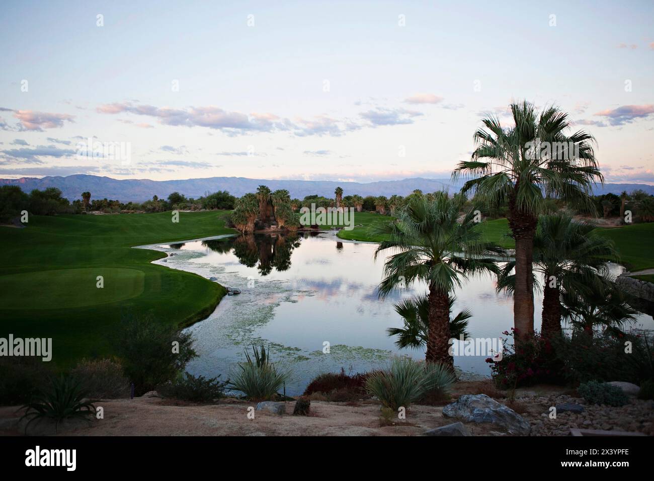 Oasis sereine de golf au milieu des palmiers du désert au crépuscule. Banque D'Images