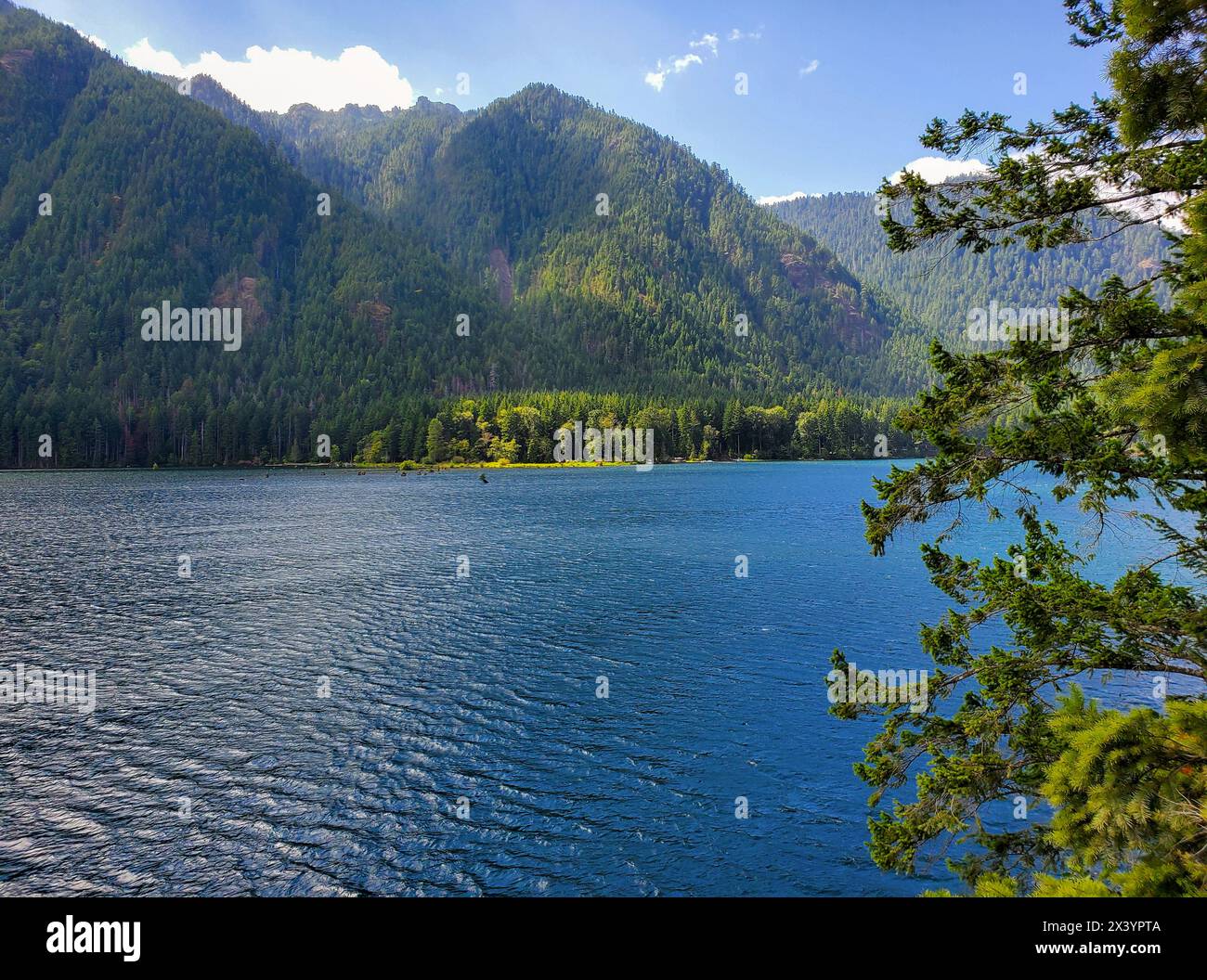 Le lac Cushman et les montagnes olympiques Banque D'Images