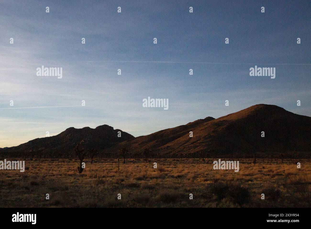 Lumière du crépuscule sur les montagnes désertiques avec des arbres de Joshua Banque D'Images