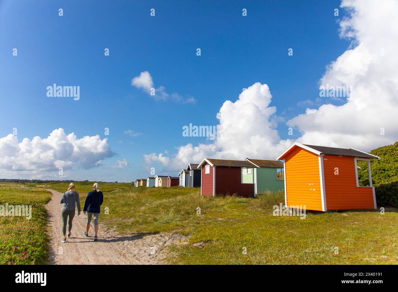 Europe, Scandinavie, Suède. Skania. Péninsule de Falsterbo. Skanor. Cabanes de plage Banque D'Images