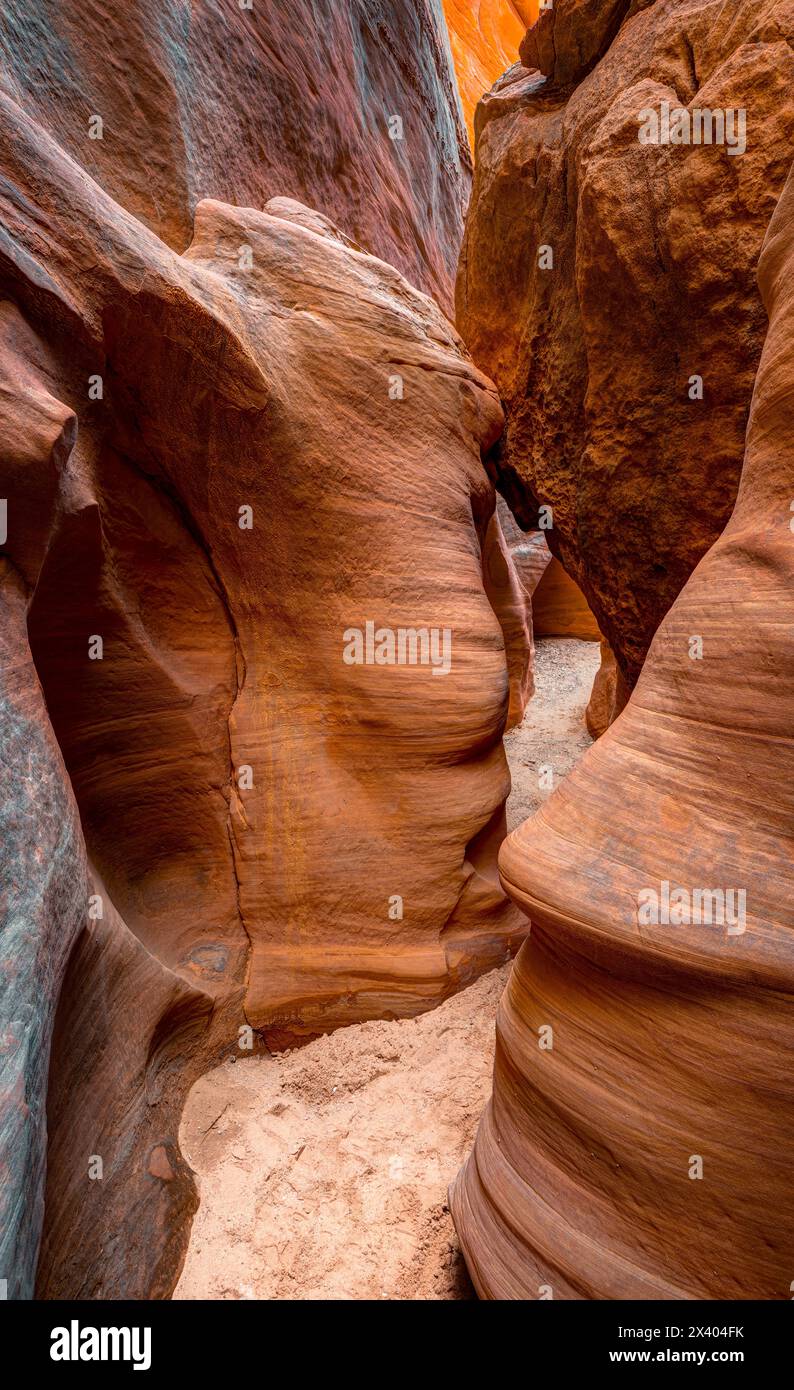 Spooky Gulch. Big Hollow Wash, Utah, États-Unis Banque D'Images