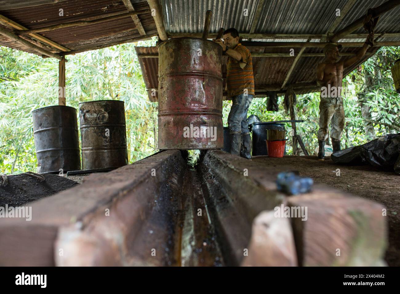 Cocaïne, plantation et préparation de cocaïne, Colombie, drogue Banque D'Images