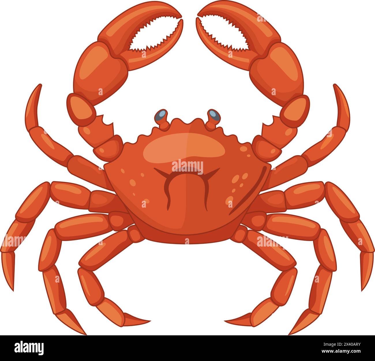 Crabe isolé sur fond blanc. Illustration de Vecteur