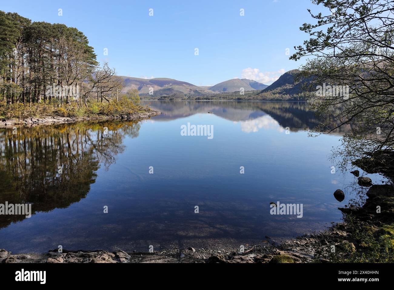 La vue sur Derwent Water vers Blencathra depuis Myrtle Bay, Lake District, Cumbria, Royaume-Uni Banque D'Images