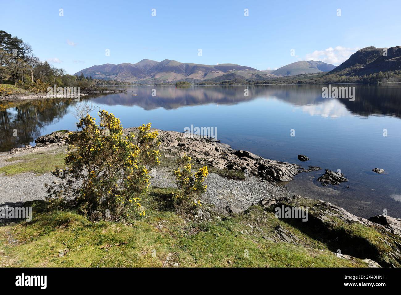 La vue sur Derwent Water vers Blencathra depuis Myrtle Bay, Lake District, Cumbria, Royaume-Uni Banque D'Images