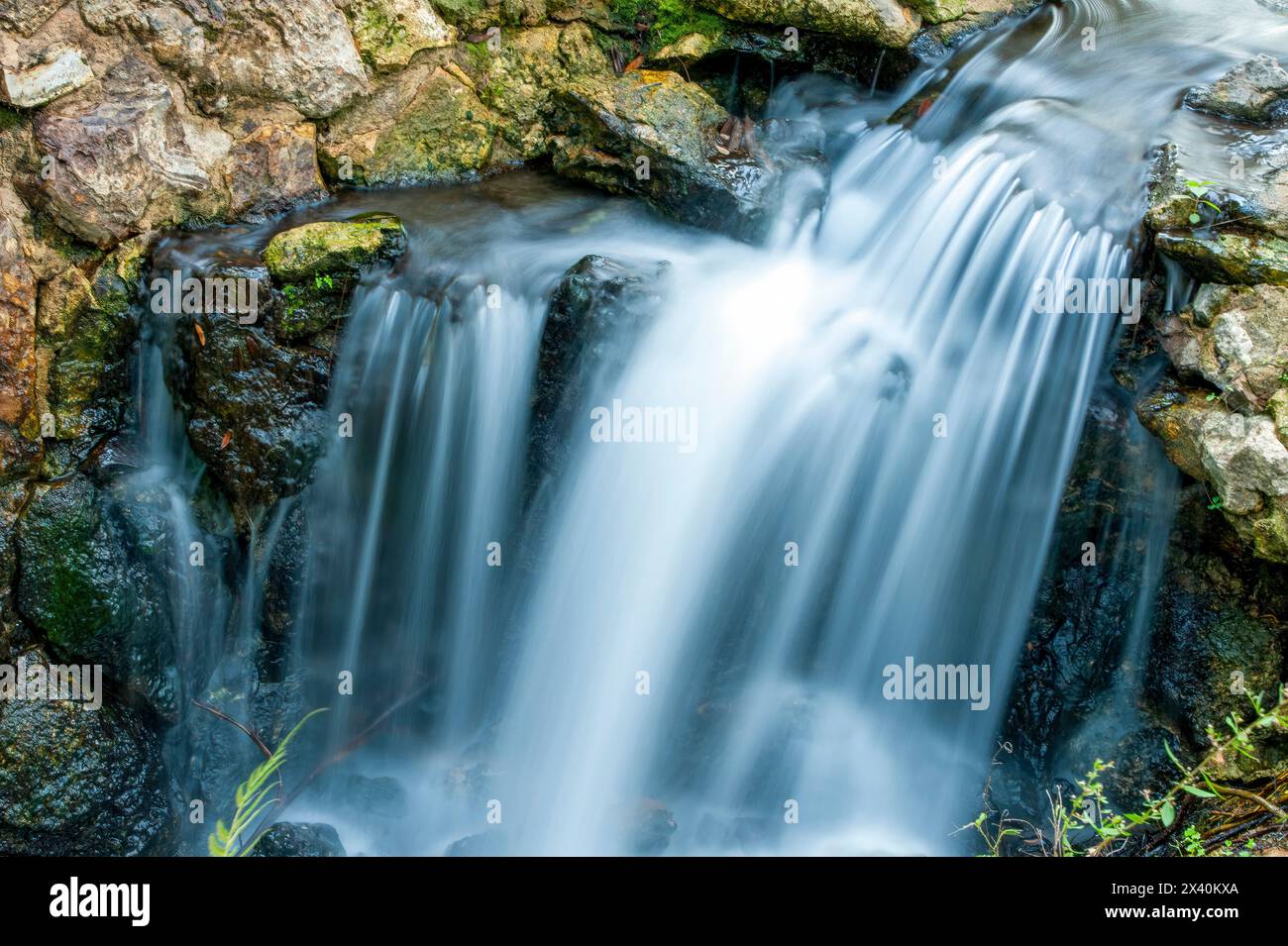 Petite cascade en cascade sur la roche ; Juniper Springs, Floride, États-Unis d'Amérique Banque D'Images