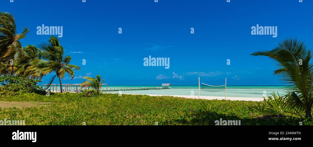 Vue depuis une station balnéaire de la mer des Caraïbes, un filet de volley-ball sur la plage de sable blanc, et des palmiers soufflant dans le vent ; Cayo Guillermo, Cuba Banque D'Images