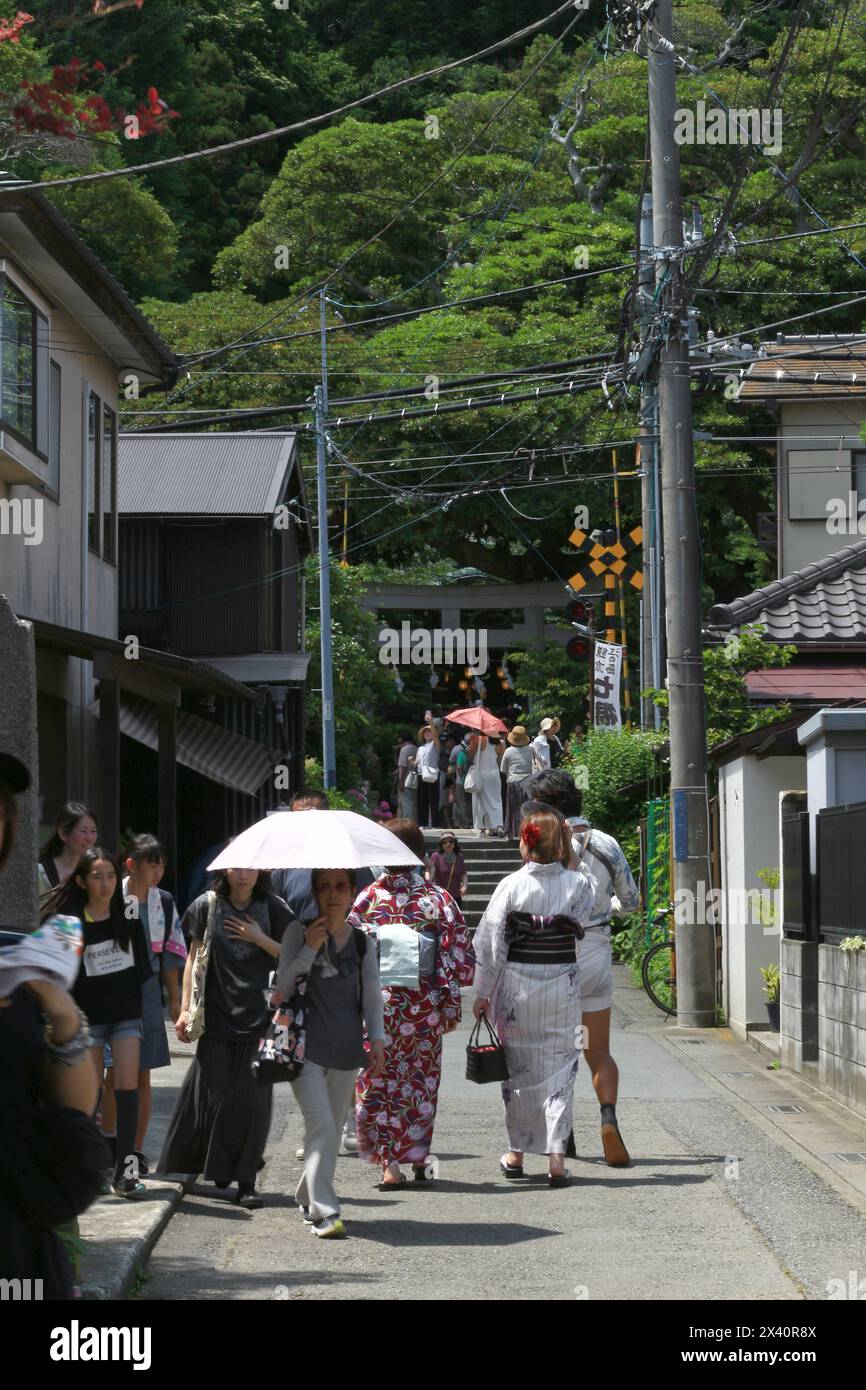 Vie quotidienne au Japon Une scène estivale de l'approche du sanctuaire Kamakura Goryo, où les femmes en yukata et les personnes avec des parasols vont et viennent Banque D'Images