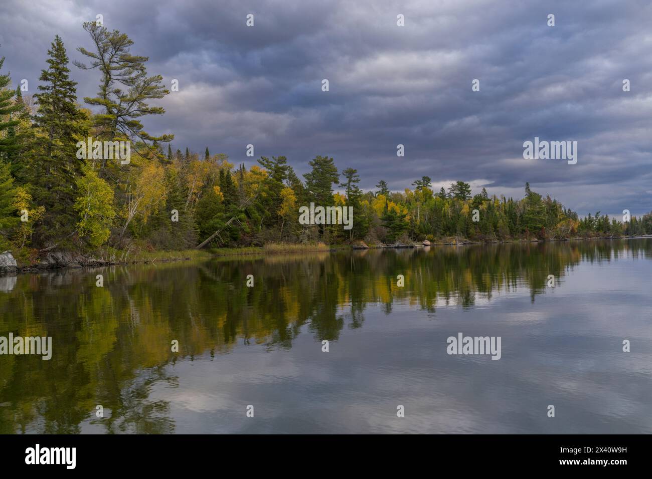 Arbres aux couleurs d'automne le long d'un rivage reflétés dans un lac sous un ciel avec des nuages sombres ; Lac des bois, Ontario, Canada Banque D'Images