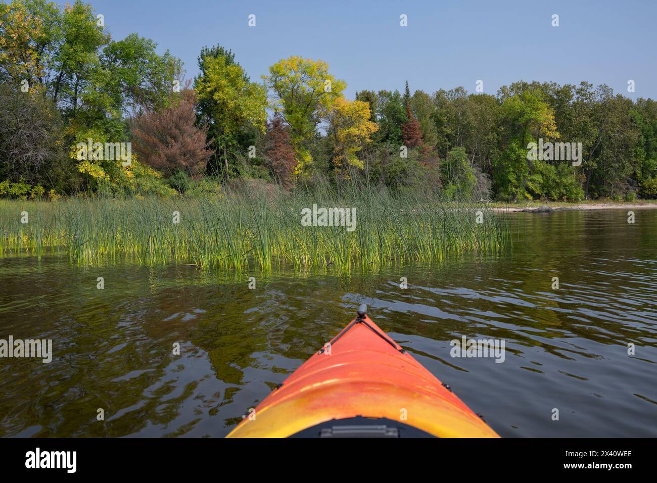 Proue d'un kayak et une belle rive de lac ; Lac des bois, Ontario, Canada Banque D'Images