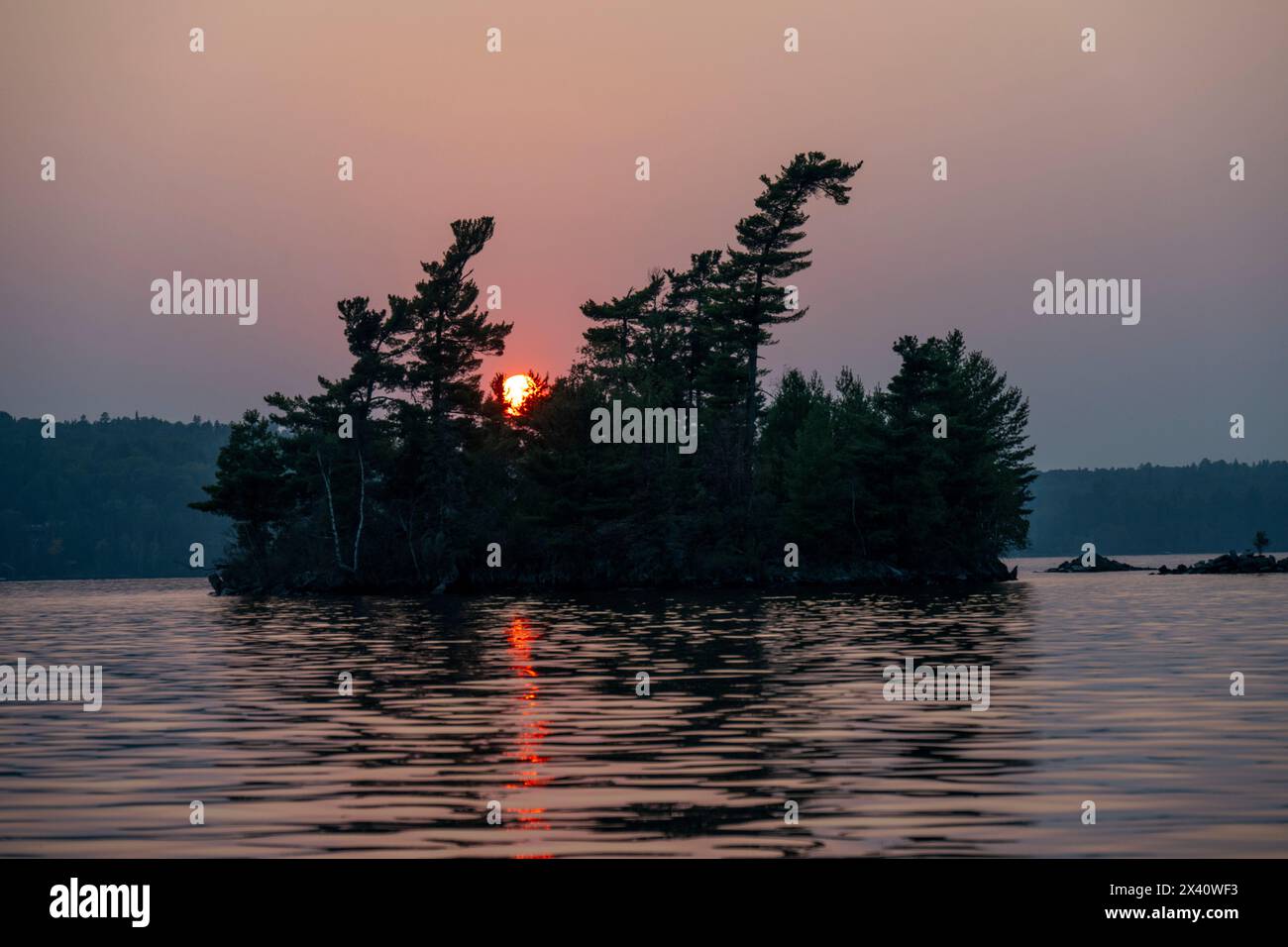 Le soleil coule derrière des arbres silhouettés et un lac ; Lac des bois, Ontario, Canada Banque D'Images