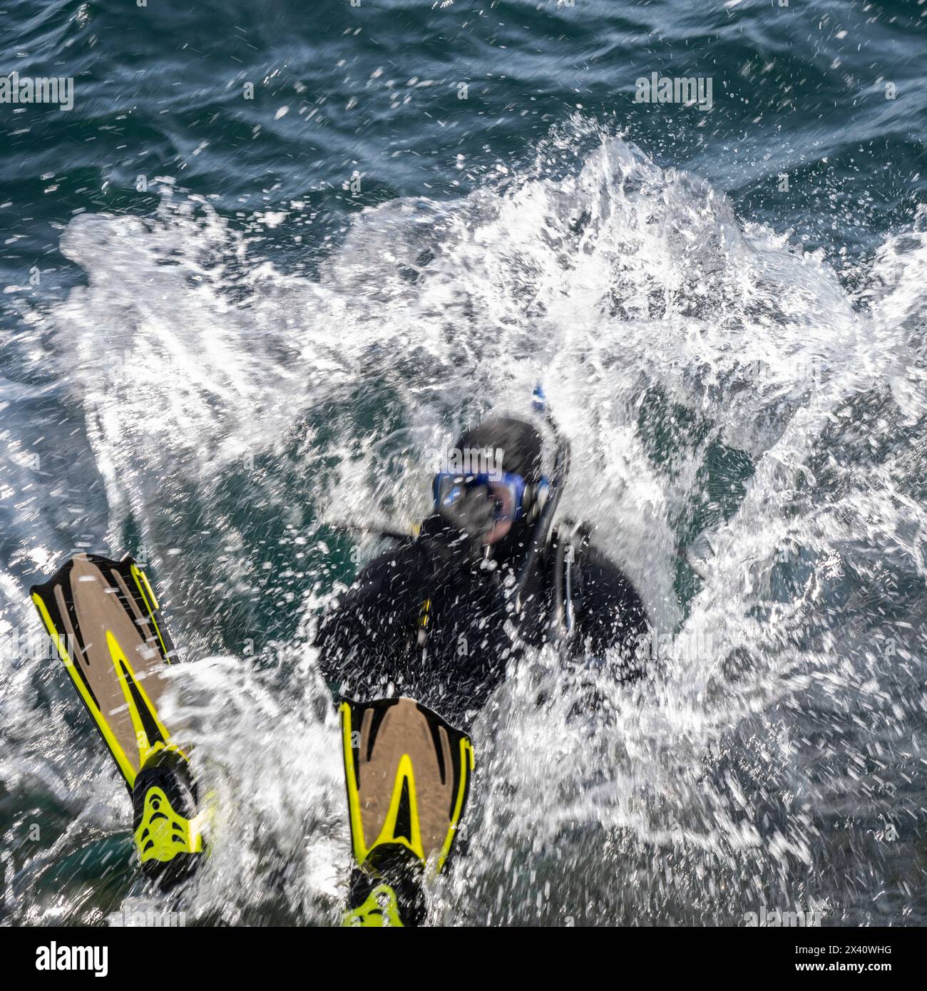 Plongeur en équipement de plongée complet plonge en arrière dans l'eau avec un grand éclaboussure. Ogden point est une installation portuaire en eau profonde située dans le sud-ouest... Banque D'Images