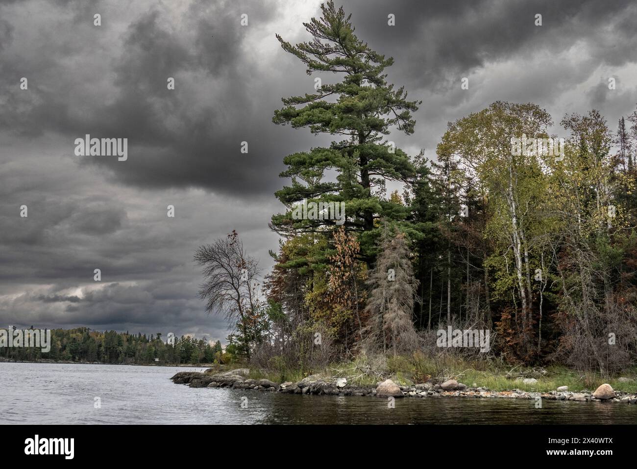 Les nuages sombres de tempête se rassemblent au-dessus d'un lac en automne ; Lac des bois, Ontario, Canada Banque D'Images