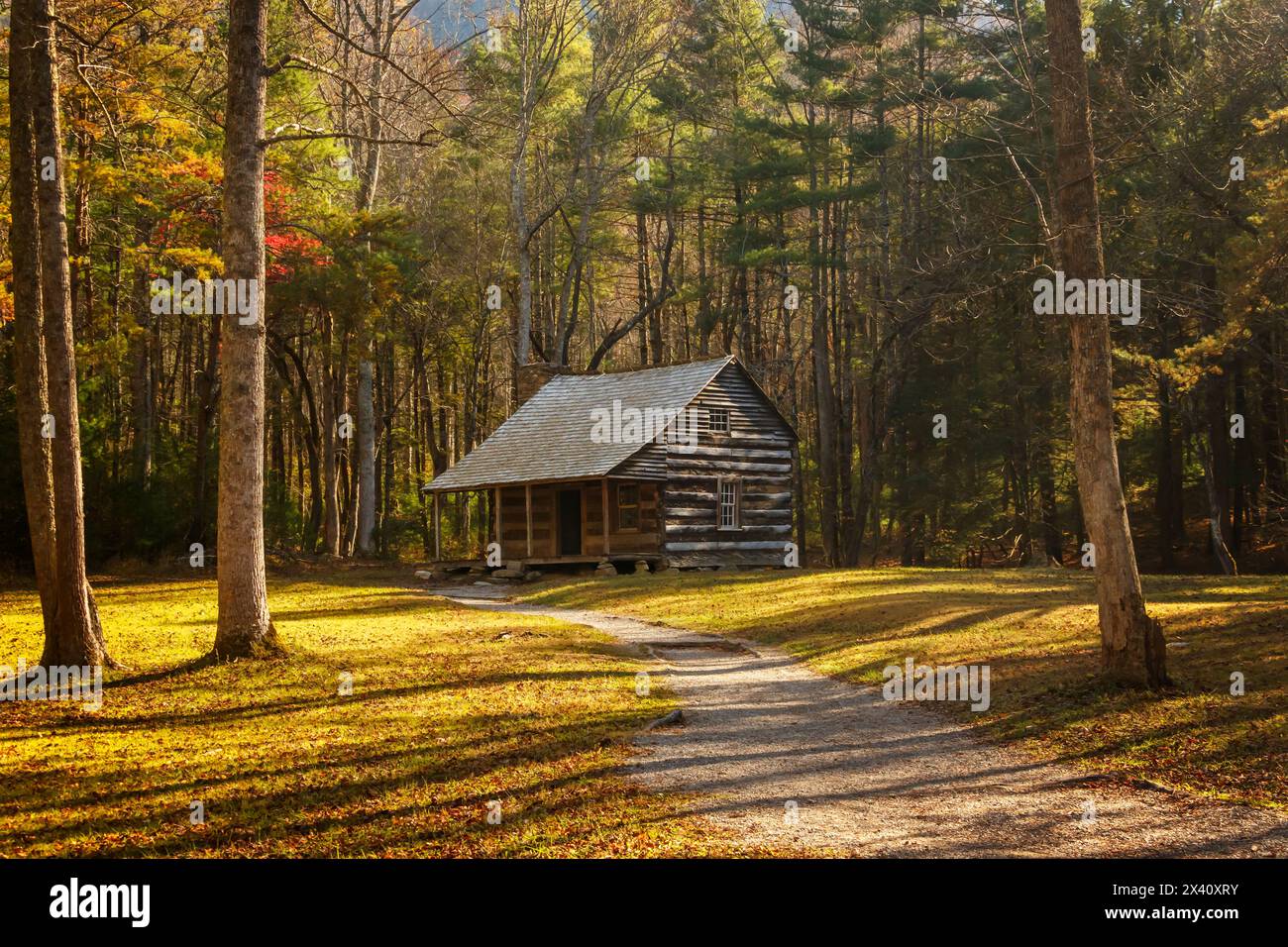 Les Protections Carter cabine. Maison historique dans la Cades Cove, parc national des Great Smoky Mountains. Townsend, Tennessee, USA. Banque D'Images