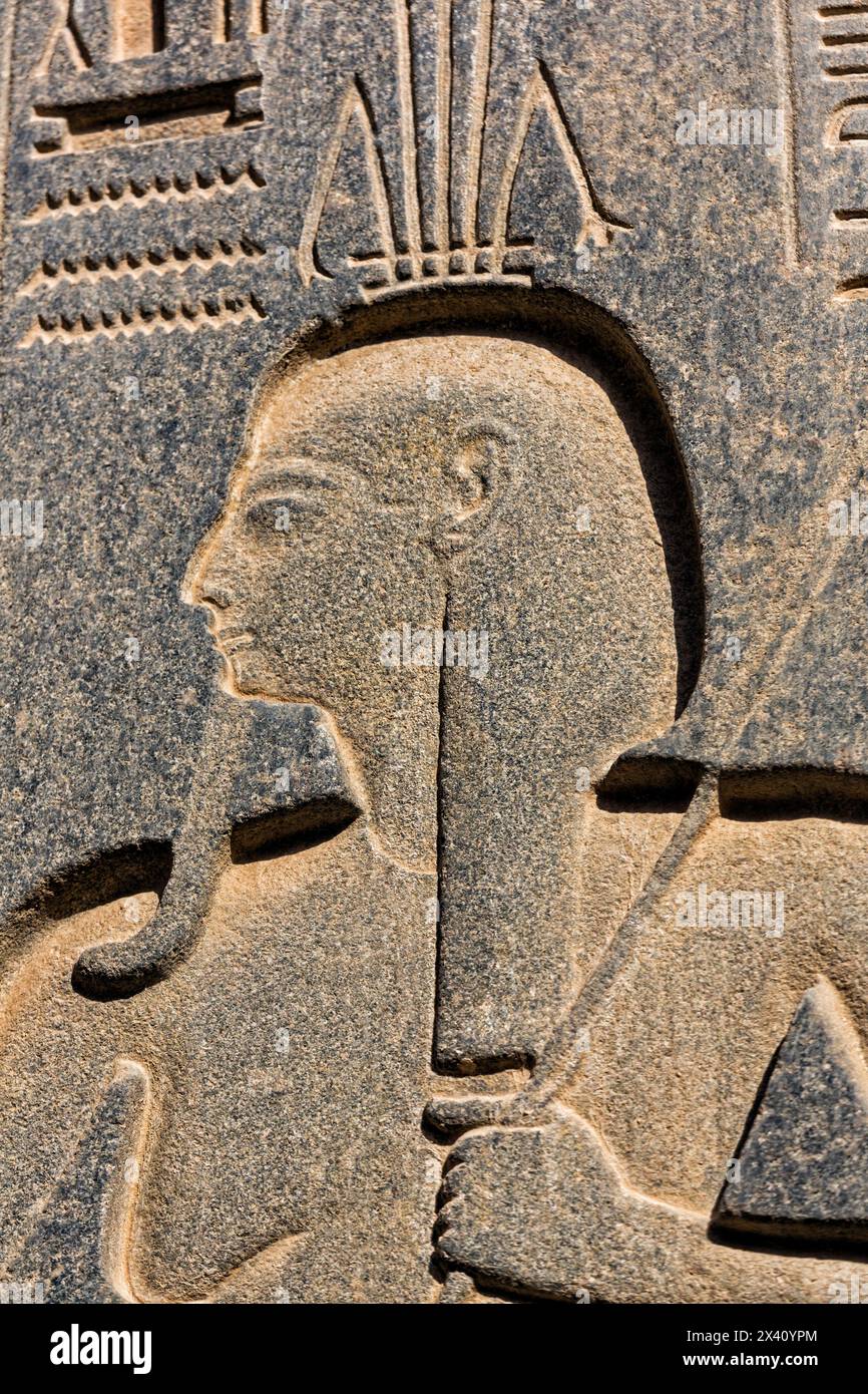 Hiéroglyphes au temple de Louxor en Egypte. Le temple de Louxor l'Égypte était la maison d'Amon-Rê, une ancienne diété égyptienne ; l'Égypte Banque D'Images