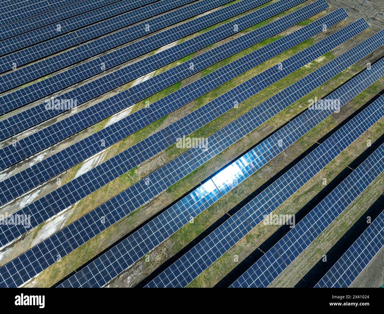 Vue aérienne rapprochée de rangées de panneaux solaires dans un champ ; High River, Alberta, Canada Banque D'Images