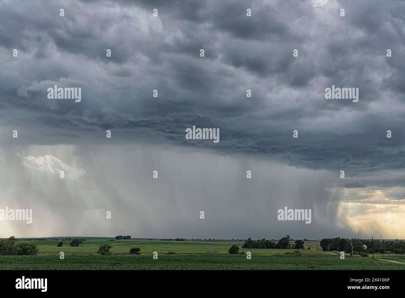De fortes pluies provenant d'un orage supercellulaire dans les régions rurales des États-Unis ; McCook, Nebraska, États-Unis d'Amérique Banque D'Images