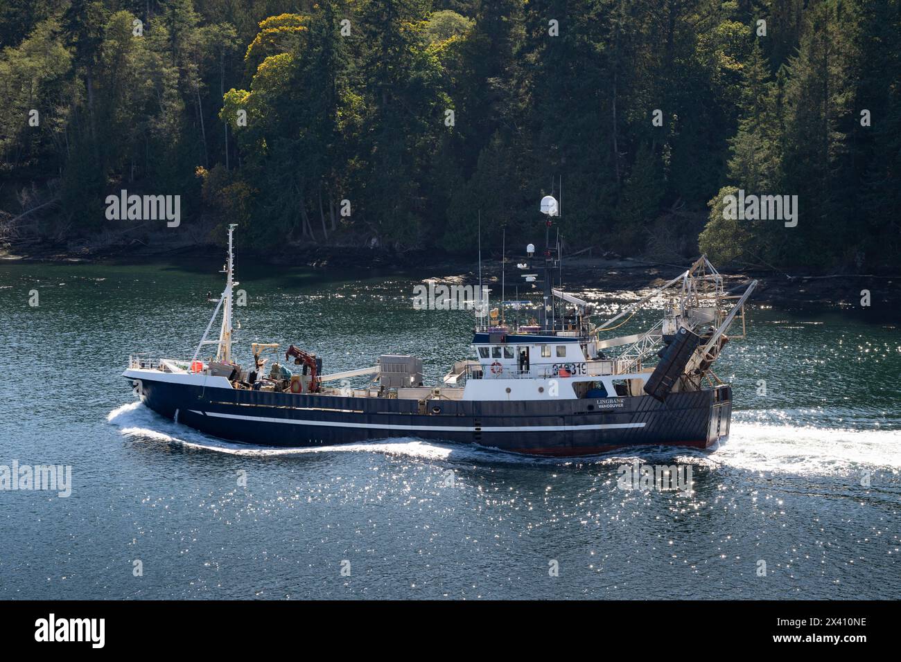 Bateau de pêche naviguant le long de la côte dans le détroit de Georgia, C.-B., Canada ; Colombie-Britannique, Canada Banque D'Images