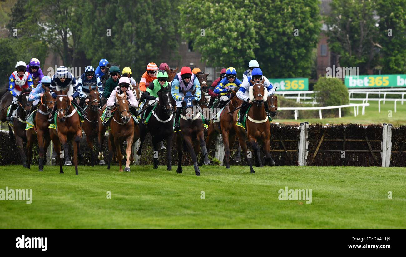 finale de la course aux haies du championnat des novices bet365 Banque D'Images