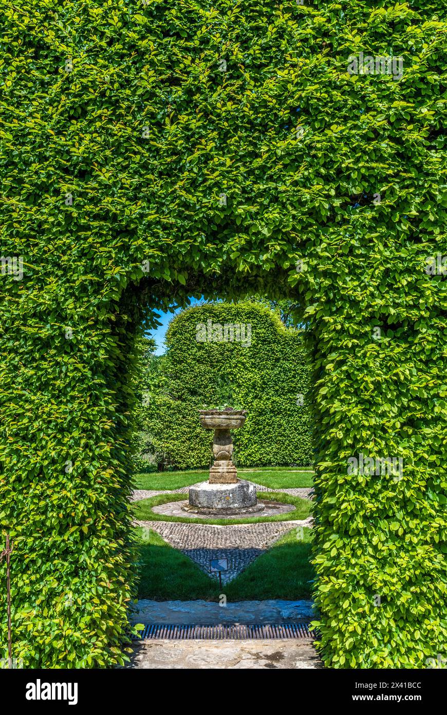 France, Périgord Noir, Dordogne, jardins du Manoir d'Eyrignac, haie taillée Banque D'Images