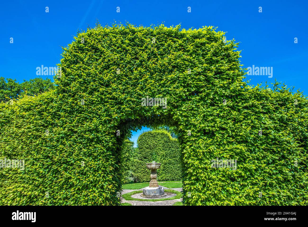 France, Périgord Noir, Dordogne, jardins du Manoir d'Eyrignac, haie taillée Banque D'Images