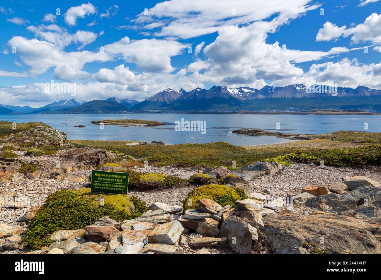 Usine de coussin, Bridges Island, Ushuaia, Terre de feu, Argentine, Amérique du Sud Banque D'Images