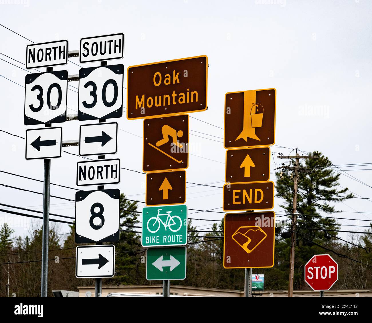 Un assortiment de panneaux aux four Corners of Speculator, NY affichant les directions des autoroutes ainsi que les lieux d'intérêt. Banque D'Images