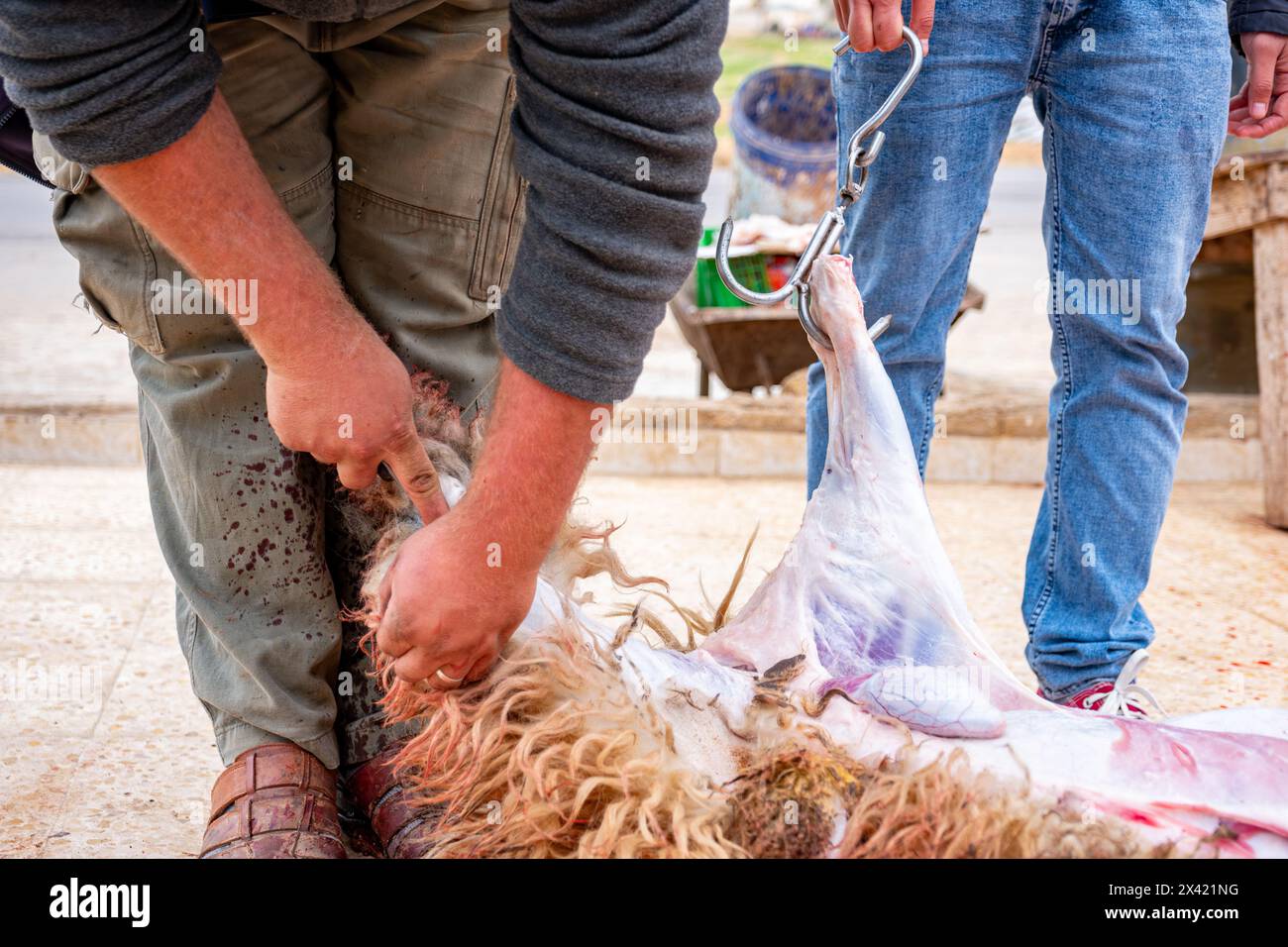 Un mouton abattu étant écorché sur le sol dans une maison à l'occasion de la fête musulmane de Aid El Adha. Un couteau d'abattoir sur le sol et un Banque D'Images