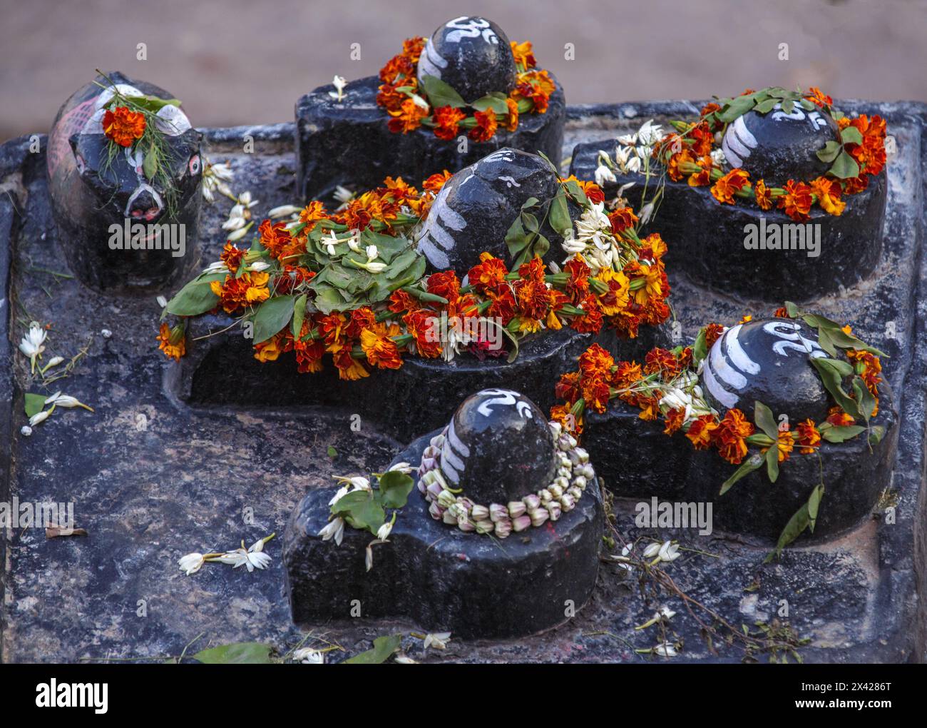 Grappe de cinq lingams en pierre noire et un taureau en pierre noire sur une base en pierre noire avec des guirlandes de fleurs à Varanasi, en Inde. Banque D'Images