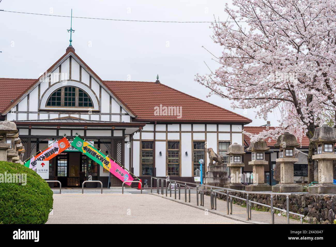 Kagawa, Japon - 7 avril 2024 : gare de Kotohira. Cerisiers en fleurs en pleine floraison sur l'île de Shikoku. Banque D'Images
