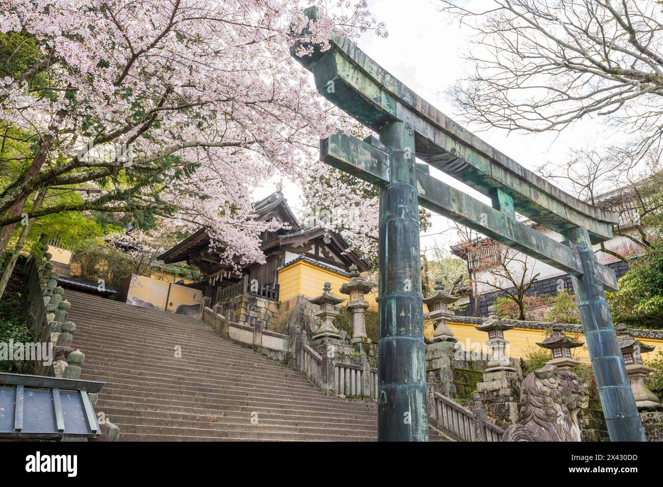 Torii porte du sanctuaire Konpira ( alias Konpira-san ou Kotohira-Gu ). Les cerisiers fleurissent le long du sentier de visite Sando au printemps. Kotohira, Kagawa, Banque D'Images