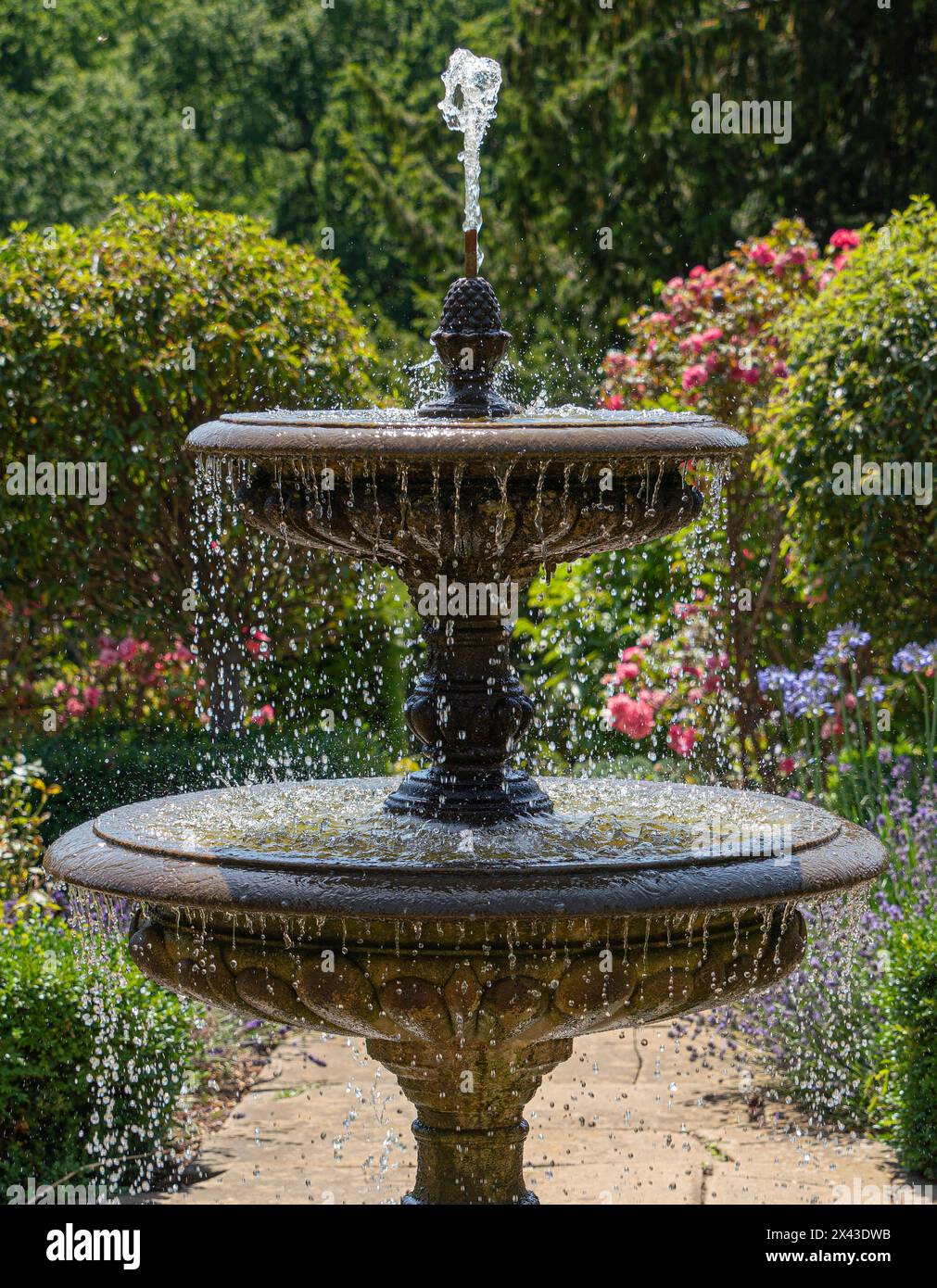 Fontaine, Rose Garden, Château de Belvoir, Angleterre, Jardins, tranquillité, court constamment, chutes d'eau, fontaines, environnement extérieur, aquatique, deux niveaux. Banque D'Images