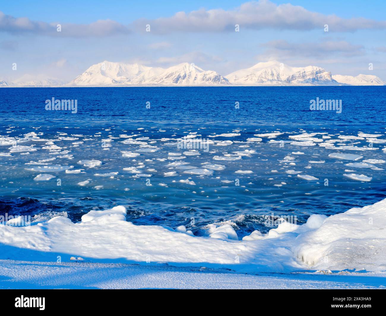 Côte avec de la glace de crêpe près de Kapp Linne au fjord Isfjorden près de Isfjorden Radio, île de Spitzberg. Fond montagnes de la nation Nordre Isfjorden Banque D'Images