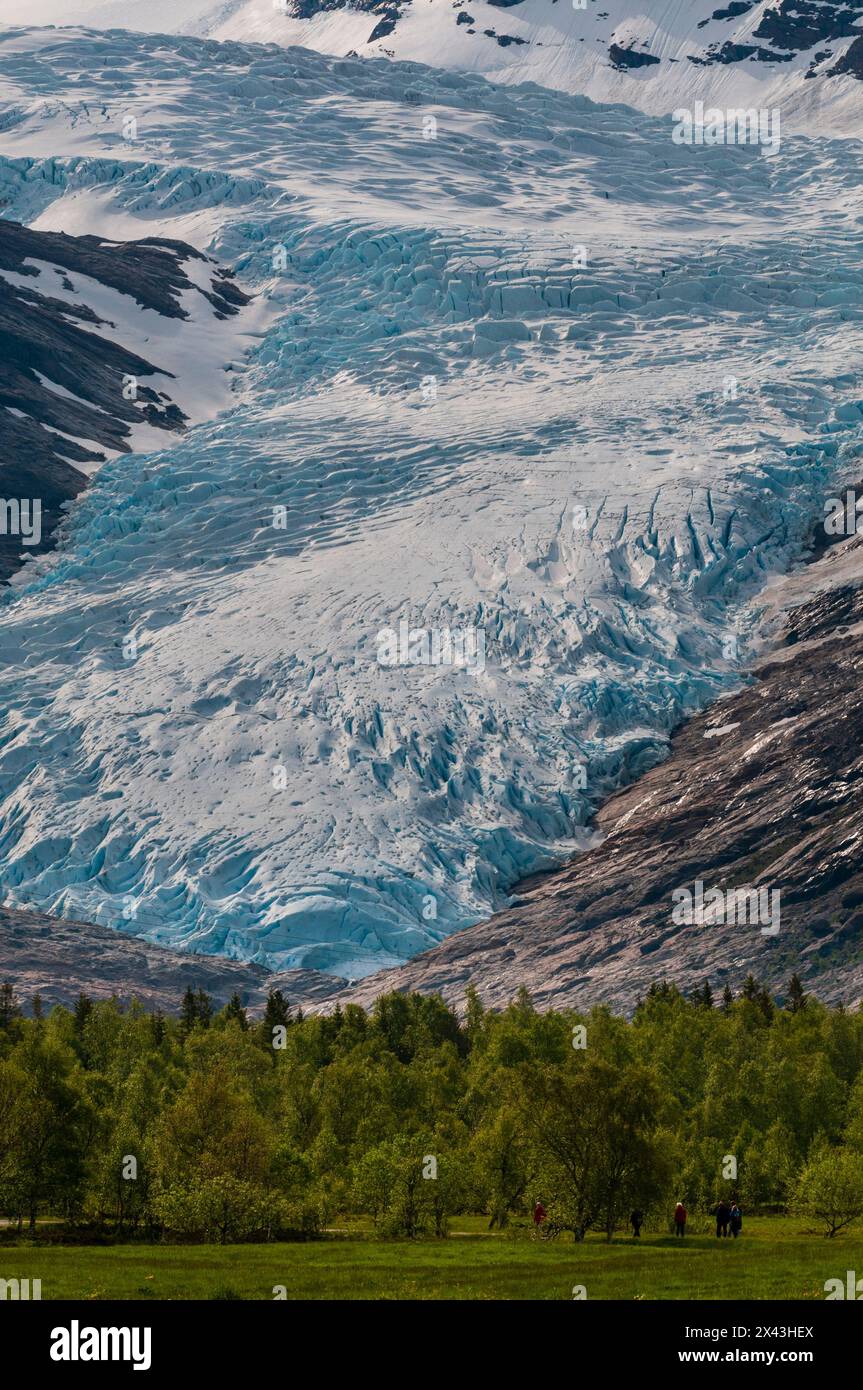 Les randonneurs marchent dans une vallée verdoyante près du terminus du glacier Svartisen. Parc national de Saltfjellet-Svartisen, Svartisen, Norvège. Banque D'Images