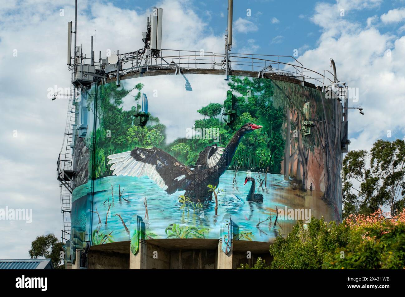 Water Tank Art par Brightsiders et Steve Falco, Casino, NSW, Australie Banque D'Images