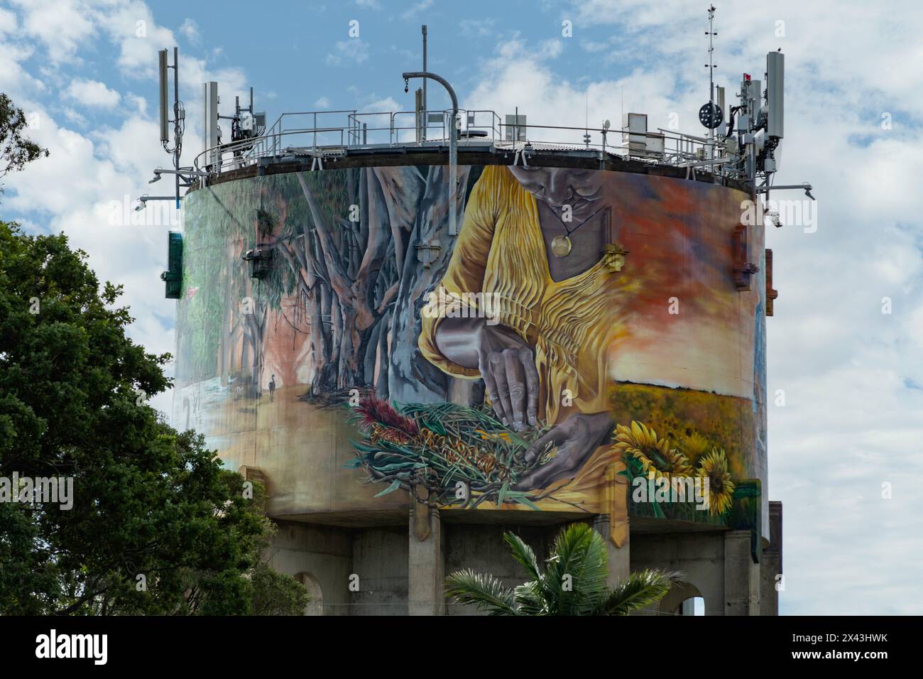 Water Tank Art par Brightsiders et Steve Falco, Casino, NSW, Australie Banque D'Images