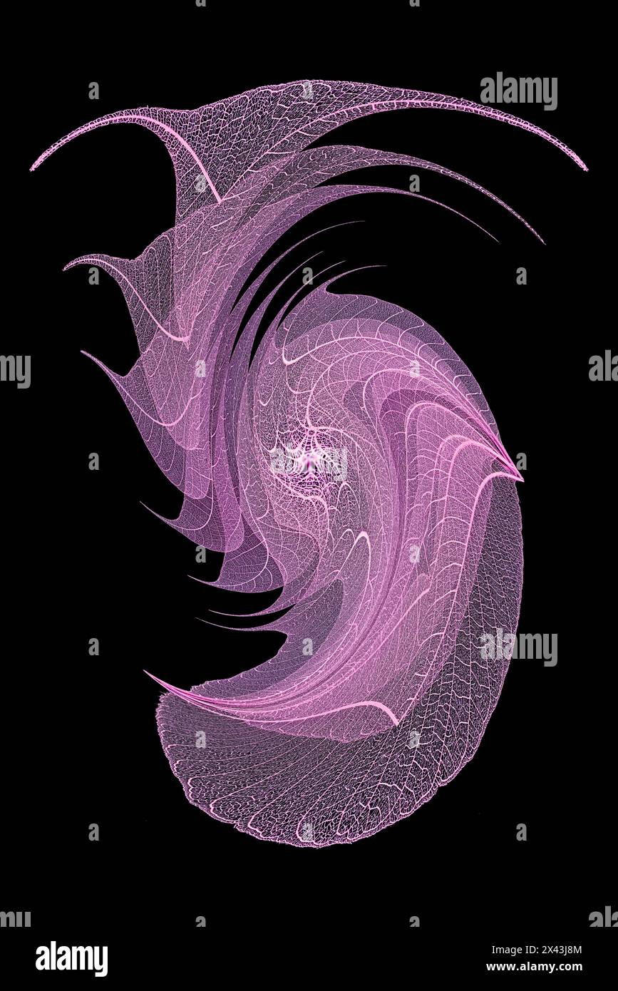 Feuilles de squelette de couleur violette disposées sur fond noir Banque D'Images