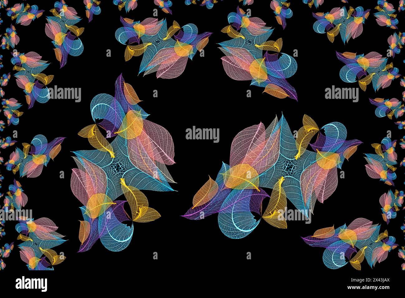 Feuilles squelettes multicolores disposées sur fond noir Banque D'Images