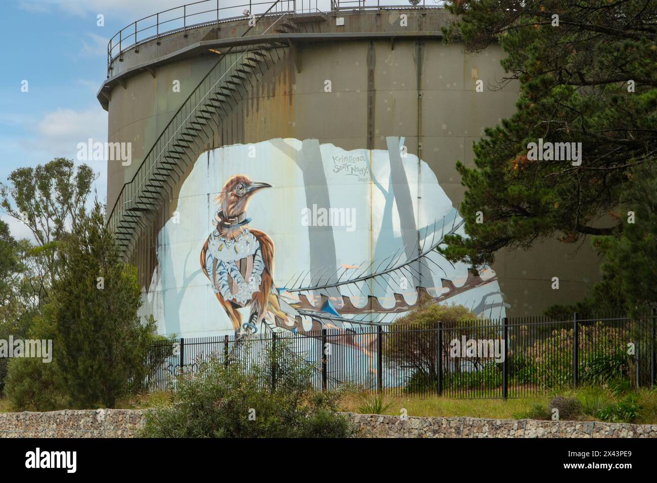 Water Tank Art par Scott Nagy et Janne Birkner, Wentworth Falls, NSW, Australie Banque D'Images