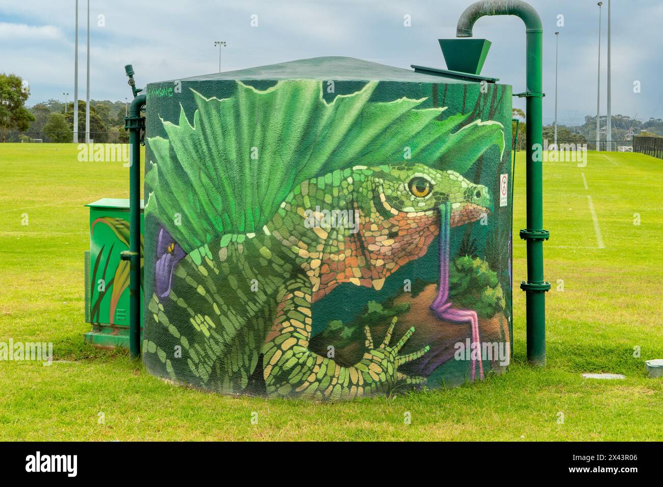 Water Tank Art par Scott Nagy et Krimsone, Barden Ridge, NSW, Australie Banque D'Images