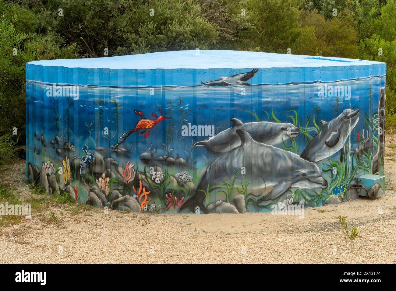 Art des réservoirs d'eau de la vie marine indigène par Simon White, Marlo, Victoria, Australie Banque D'Images
