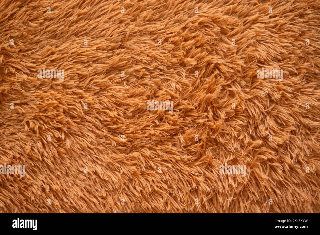 Gros plan du fond de texture de tapis brun. Photo de haute qualité Banque D'Images