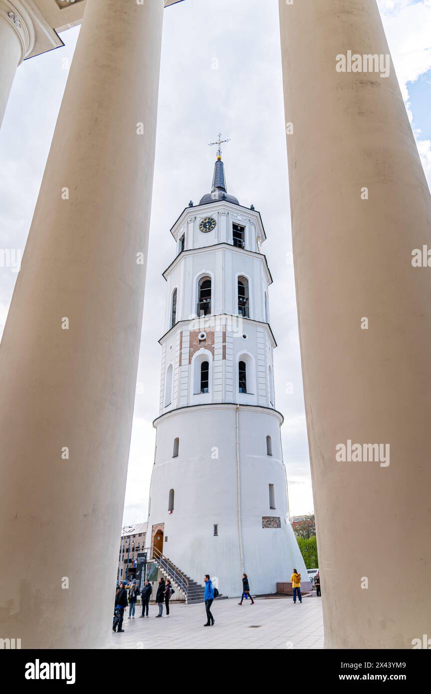 Clocher de la cathédrale de Vilnius, place de la cathédrale, Vilnius, Lituanie Banque D'Images