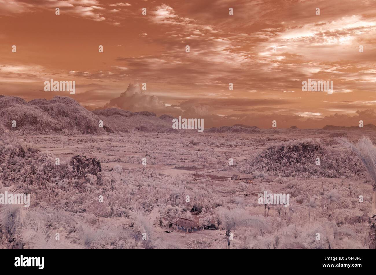Une image de paysage infrarouge prise en regardant à travers la vallée de Vinales au paysage dramatique du Karst. Près de Vinales, Cuba Banque D'Images