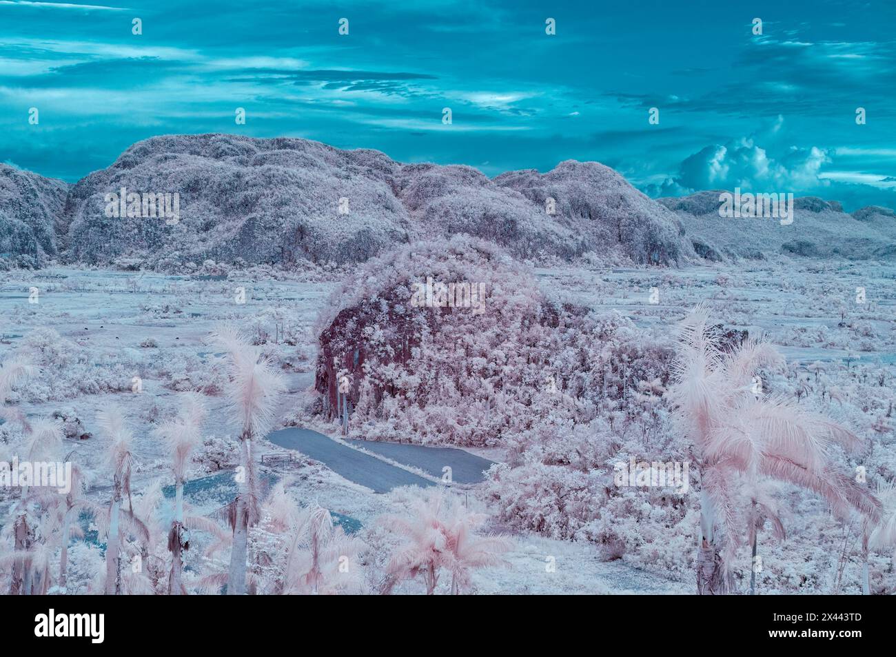 Une image de paysage infrarouge prise en regardant à travers la vallée de Vinales au paysage dramatique du Karst. Près de Vinales, Cuba Banque D'Images