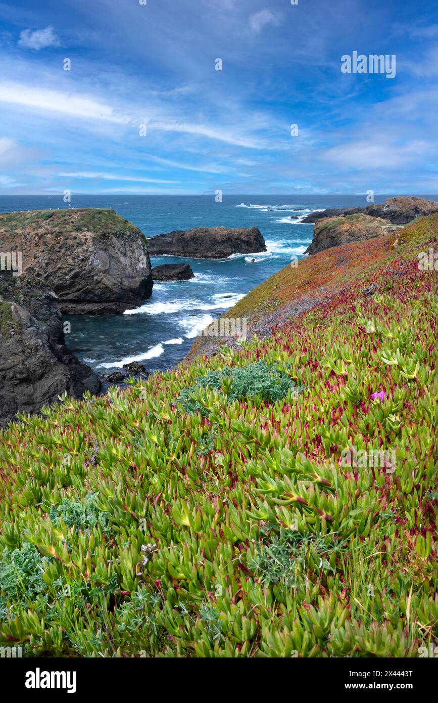 États-Unis, Californie. Océan Pacifique, parc national de Mendocino Headlands. Banque D'Images