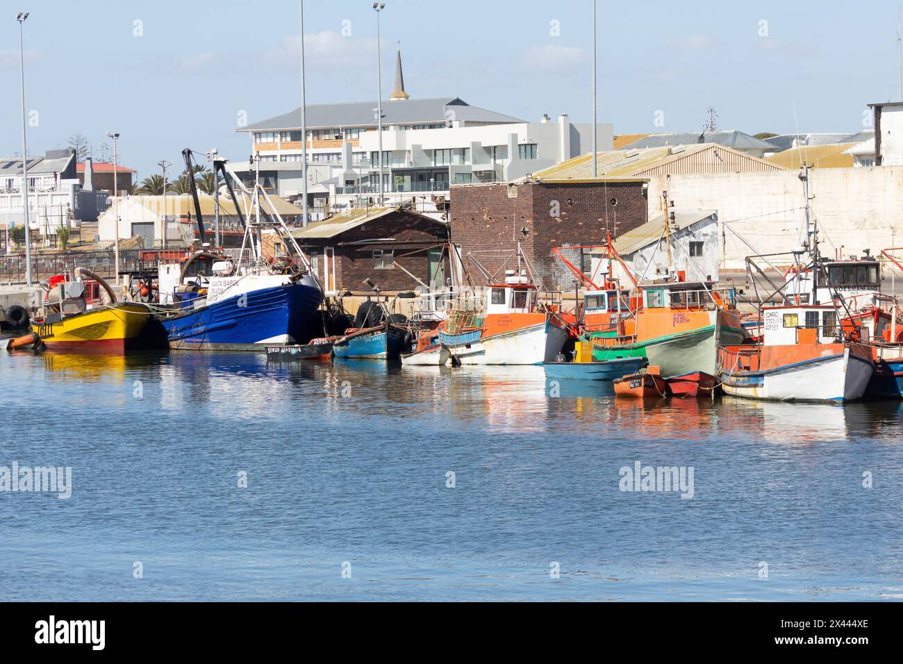 Flotte de pêche avec des bateaux colorés amarrés dans le port de Lamberts Bay, côte ouest, Afrique du Sud Banque D'Images